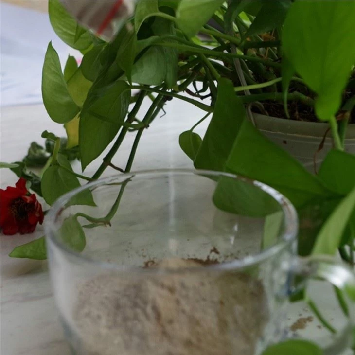 HCEA Concrete Expanding Agent